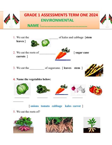 Science and Environment Grade .